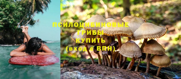 винт Баксан