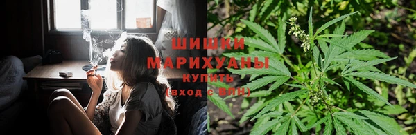 винт Балахна