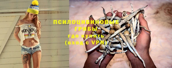 винт Баксан